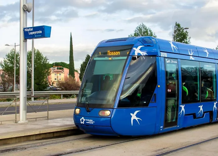 Lapeyronie Отель